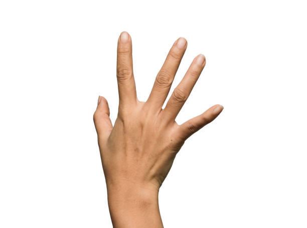 istock hand woman with isolated white back ground 931053524