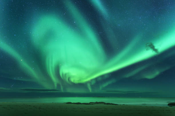 Aurora. Aurora borealis above the sea. Lofoten islands, Norway. Green northern lights. Starry sky with polar lights. Night winter landscape with aurora, sea with sky reflection in water. Nature