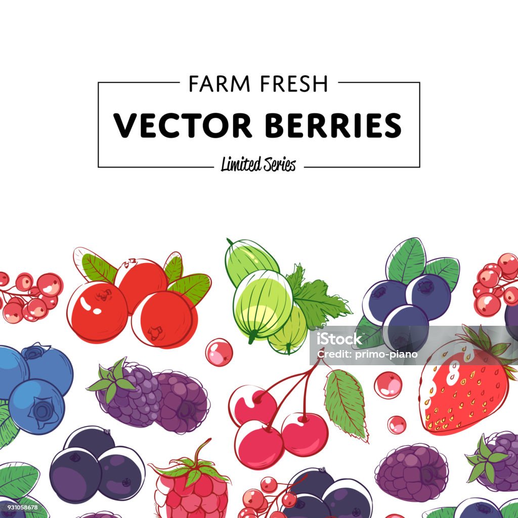 Fresh and juicy berries retail poster Fresh and juicy berries retail poster with ripe raspberry, blackberry, strawberry, gooseberry, currant, blueberry and cherry. Natural organic farming, healthy food, vegan nutrition vector illustration Berry stock vector