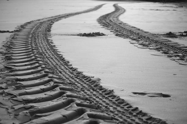 istock close up on tyre tire tracks curve on sandy beach 931061882