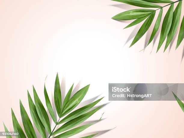 Palm Leaves Background Stock Illustration - Download Image Now - Palm Leaf, Palm Tree, Summer