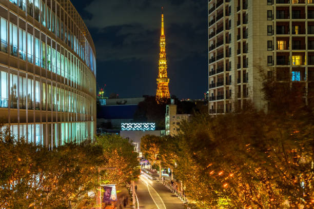 istock Tokyo city view with Tokyo Tower at night 931062386