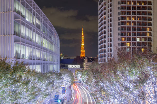 istock Tokyo city view with Tokyo Tower at night 931062406