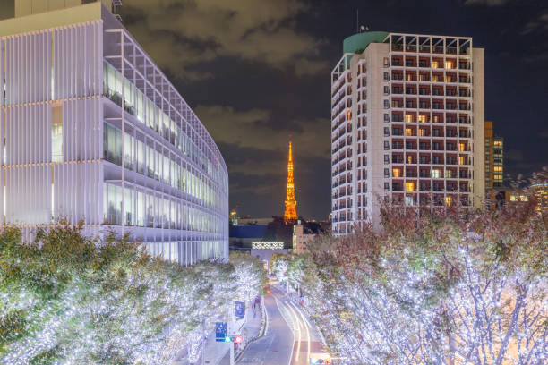 istock Tokyo city view with Tokyo Tower at night 931062438