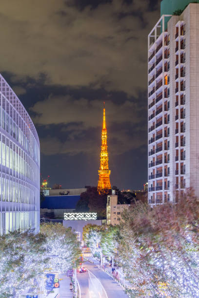 istock Tokyo city view with Tokyo Tower at night 931062486