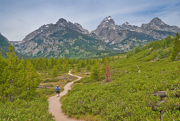 Mature Woman Hiking in the Tetons This woman is hiking along the trail to Bradley and Taggart Lakes in Grand Teton National Park, Wyoming, USA. The scenic Teton Range of mountains is in the distance. jeff goulden grand teton national park stock pictures, royalty-free photos & images
