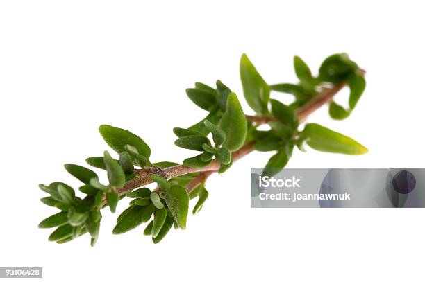 Plantas Aromáticas Frescas Em Branco - Fotografias de stock e mais imagens de Alecrim - Alecrim, Alimentação Saudável, Ao Ar Livre