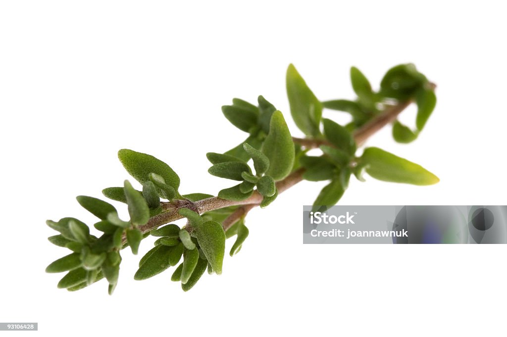 Свежие травы на белом - Стоковые фото Ароматерапия роялти-фри