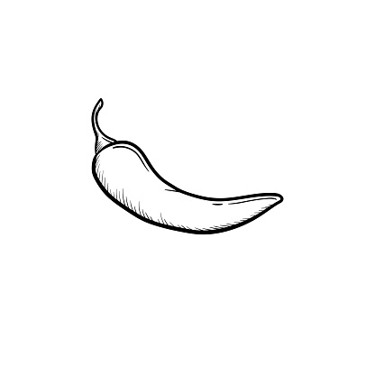 Chili pepper hand drawn outline doodle icon. Vector sketch illustration of chili pepper for print, web, mobile and infographics isolated on white background.