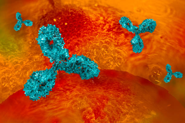 monoclonal antibody orange, red background  3d rendering - antibody human immune system antigen microbiology imagens e fotografias de stock
