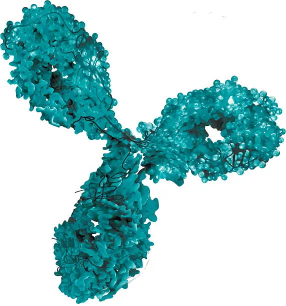 monoclonal antibody blue green 3d