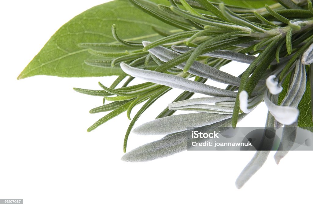 fresh herbs. rosmarino, lavanda e bay foglia - Foto stock royalty-free di Cibi e bevande