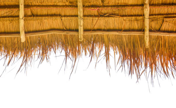 a thatch-roof on white background a thatch-roof on white background straw roof stock pictures, royalty-free photos & images