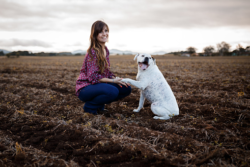 A beautiful woman playing with her white boxer dog