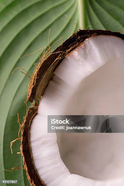 Otwórz Kokosowy I Zielone Leaf Egzotycznych - zdjęcia stockowe i więcej obrazów Bez ludzi - Bez ludzi, Biały, Bliskie zbliżenie
