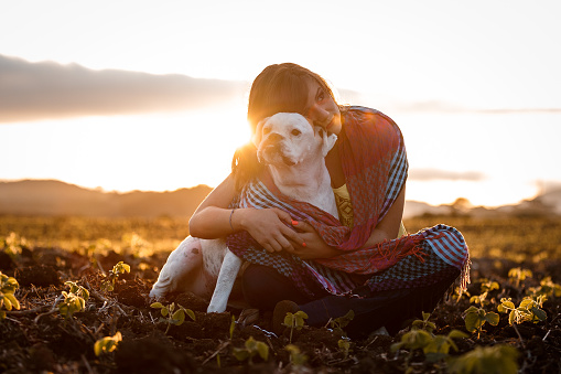 A beautiful woman playing with her dog at sunset