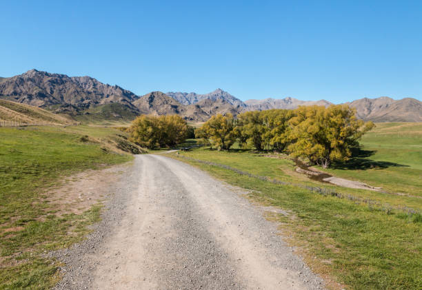 camino de grava hacia la estación de molesworth en la región de marlborough, nueva zelanda - marlborough region zealand new new zealand fotografías e imágenes de stock