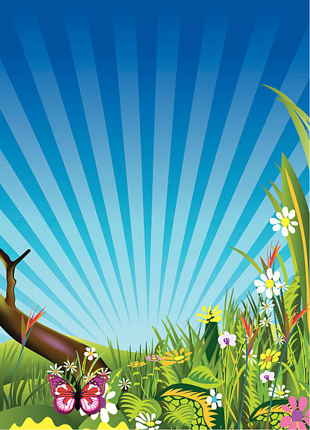 ilustrações, clipart, desenhos animados e ícones de fundo de primavera meadows - flowerbed aerial