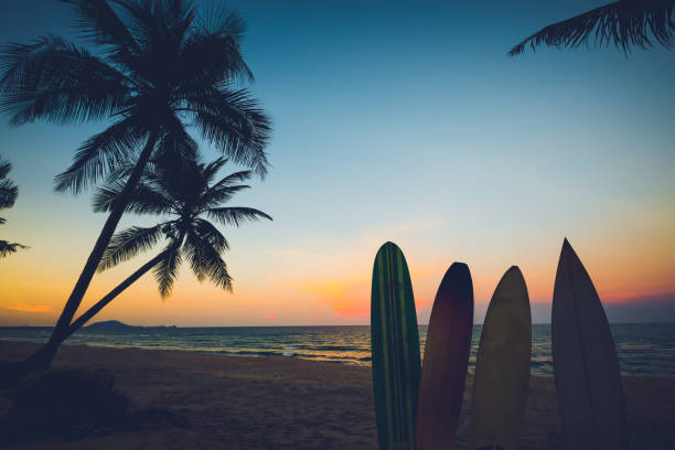 surfboard on tropical beach at sunse