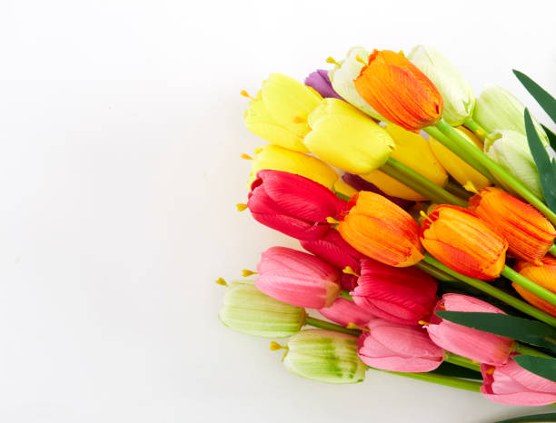 istock weekend Backgrounds ,Fake colorful tulips on white background with copy space 931090824