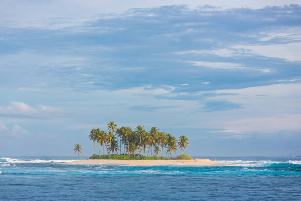 istock Little island with Coconut trees 931096238