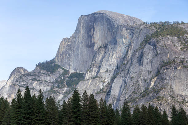 istock Landscaping of Half Dome. 931100066
