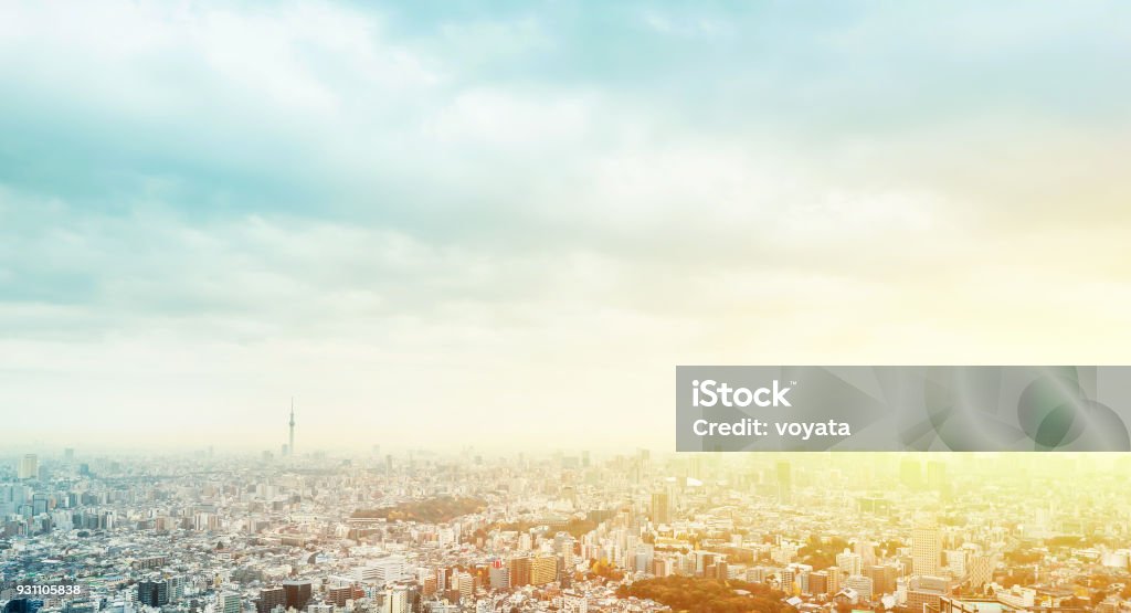panoramic modern city skyline aerial view of Ikebukuro in tokyo, Japan Asia business concept for real estate and corporate construction - panoramic modern city skyline aerial view of Ikebukuro in tokyo, Japan City Stock Photo
