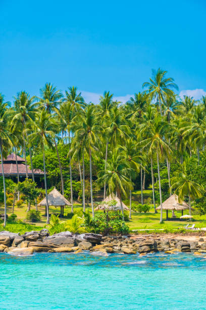 istock Beautiful tropical beach and sea 931105994