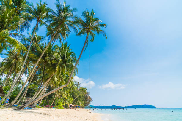 istock Beautiful tropical beach and sea 931106172