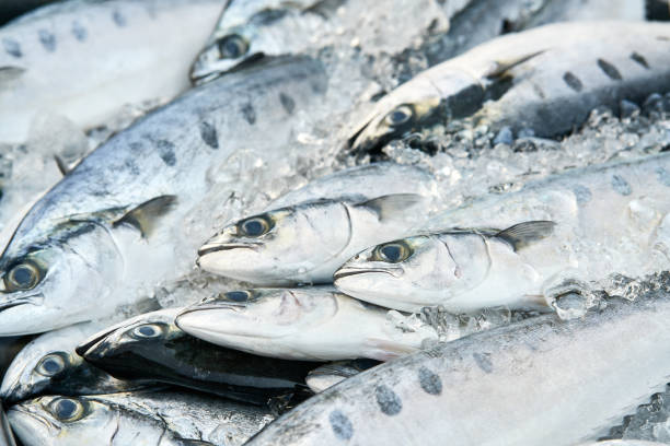 istock Fresh fishes on market 931107146