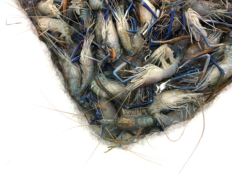 Fresh Shrimp or Prawn lay ice in local market or department store. top view