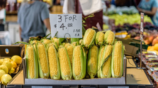 milho na espiga - corn fruit vegetable corn on the cob - fotografias e filmes do acervo