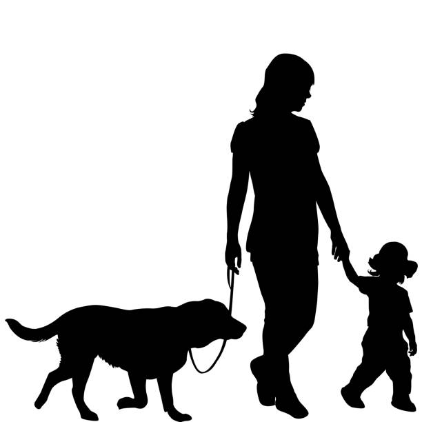 ilustrações de stock, clip art, desenhos animados e ícones de silhouettes of woman with kid and dog - dog walking retriever golden retriever