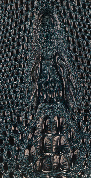istock abstract background of crocodile skin 931122180