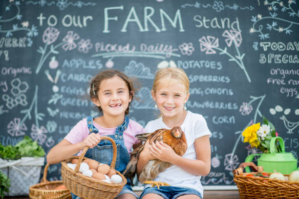 suore al mercato contadino - market farmers market agricultural fair child foto e immagini stock