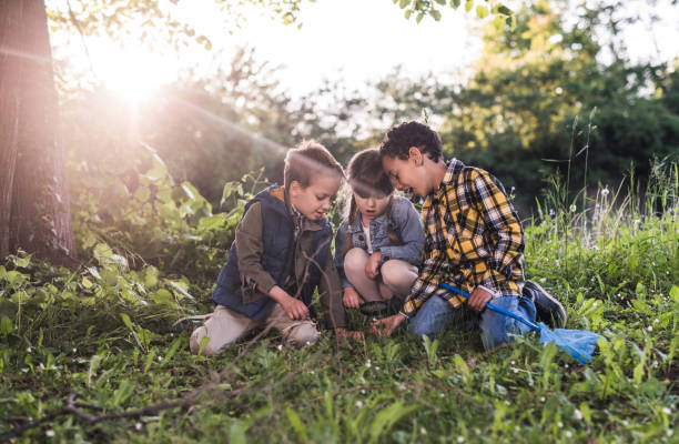 istock Group of small kids enjoying in spring day outdoors while exploring the environment. 931126190