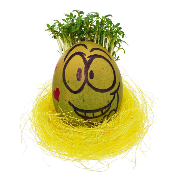 istock Easter egg painted in a funny smiley  face and colorful patterns in a yellow bird's nest with cress like hair. 931126526