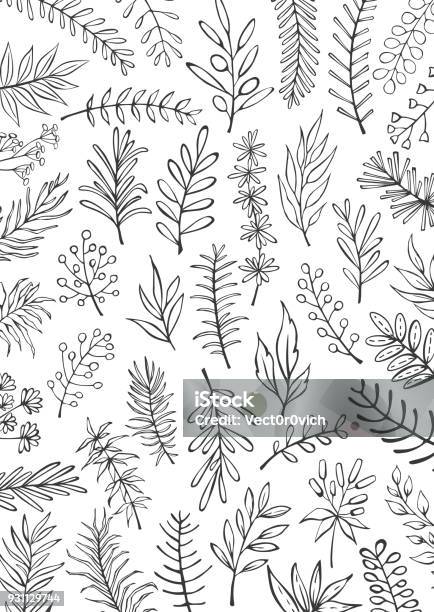 Black And White Floral Hand Drawn Farmhouse Style Outlined Twigs Branches Background Stock Illustration - Download Image Now