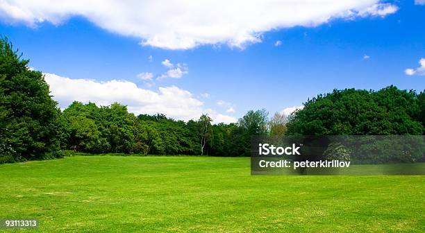 Photo libre de droit de Avidité Prairie Et Ciel Avec Les Nuages banque d'images et plus d'images libres de droit de Arbre - Arbre, Beauté, Beauté de la nature