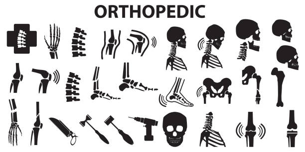 illustrazioni stock, clip art, cartoni animati e icone di tendenza di ortopedia spinale articolazione umana assistenza sanitaria icone piatte. simbolo vettore mono - ortopedico