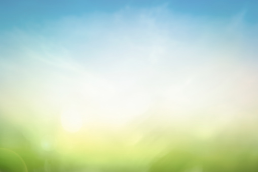 Abstract blurred beautiful green nature with blue sky wallpaper background