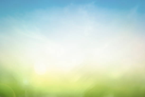 Ecology concept Abstract blurred beautiful green nature with blue sky wallpaper background responsible business photos stock pictures, royalty-free photos & images