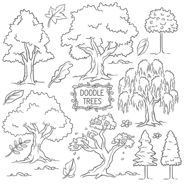 Hand Drawn Doodle Tree vector art illustration