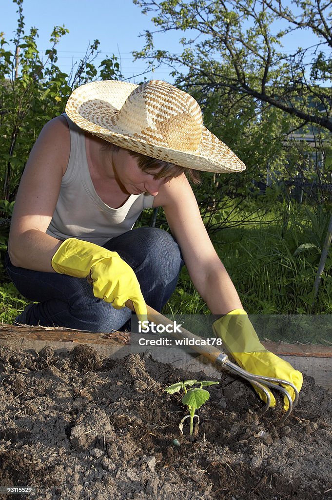 Strappare le erbacce giardino - Foto stock royalty-free di Aiuola