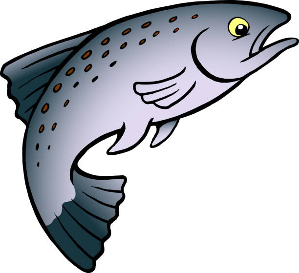 ilustrações, clipart, desenhos animados e ícones de cartoon ilustração vetorial de um salmão ou truta peixe - animal scale fish silver backgrounds