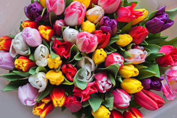 istock tulips flowers bouquet from above 931159610