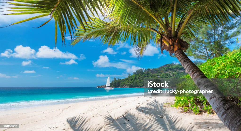 Sandy beach with palm trees and a sailing boat Sandy beach with palm trees and a sailing boat in the turquoise sea on Paradise island. Fashion travel and tropical beach concept. Beach Stock Photo