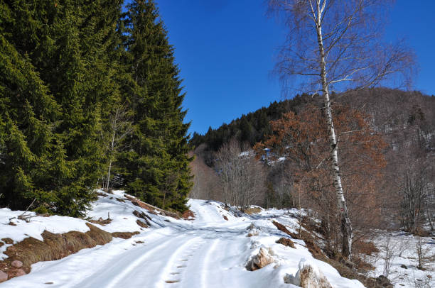 Mountain landscape Small Rural road covered with snow grooved stock pictures, royalty-free photos & images
