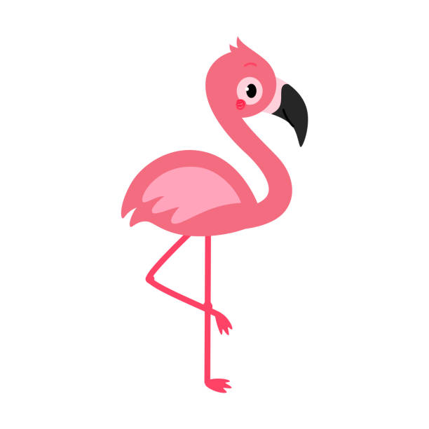 Adorable flamingo in flat style. Adorable flamingo in flat style. Vector illustration isolated on white background. flamingo stock illustrations