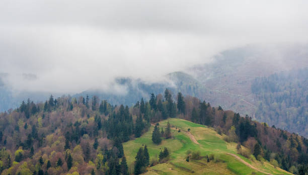 istock Fog and trees in the spring mountains. Carpathians 931181742